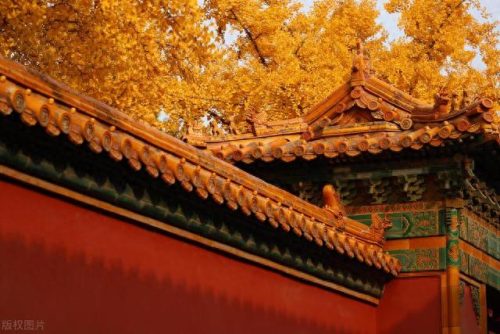 山东亲子游十大排行榜(亲子穷游最佳去处)插图13