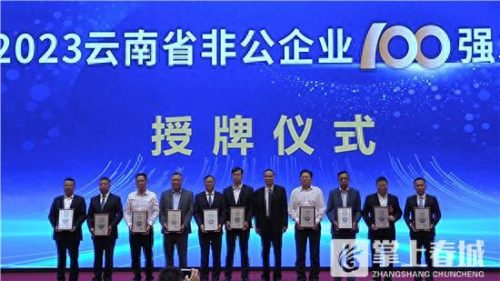 云南实体工厂排名前十(云南滇橄榄粉工厂)插图1