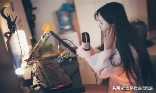 直播声卡十大排行榜设备(荒原声卡直播)插图