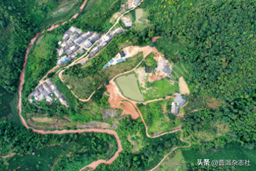普洱咖啡产能排名前十(普洱炬点咖啡老板)插图13