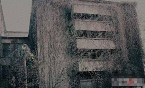 上海凶宅豪宅排名前十(上海花木绿城兰庭凶宅事件)插图2
