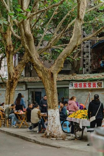 成都餐馆好吃排名前十(成都附近口碑餐厅排名)插图45