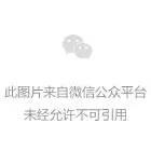 汽车收藏专家排名前十(汽车品牌排名前十名)插图8
