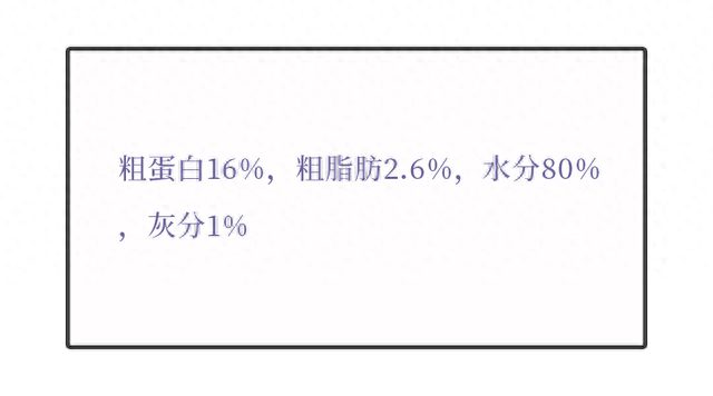 猫咪罐头排名前十(猫咪罐头排行榜)插图33