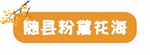 随州地区景点排名前十(随州烧烤十大排名)插图14