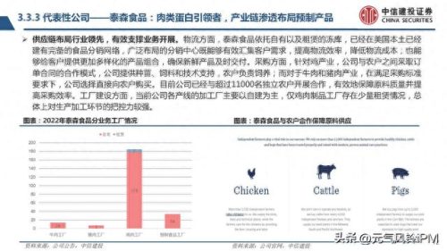 意大利饺子厂排名前十(饺子供应商排名)插图54