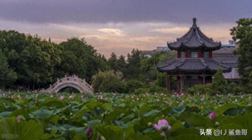 保定钓鱼景点排名前十(保定18处景点免费)插图5