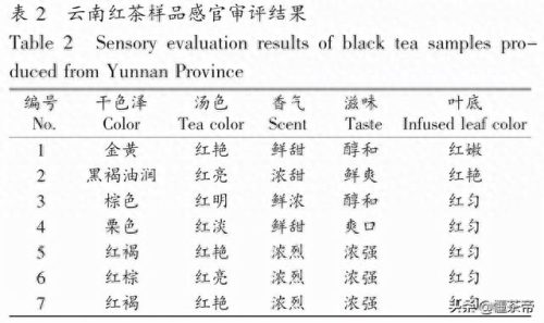 滇红茶排名前十茶厂(滇红十大排名)插图6