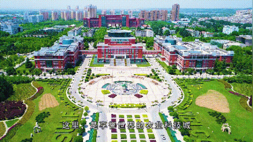 杨凌十大面馆排行榜最新(陕西省十大面馆排名)插图20