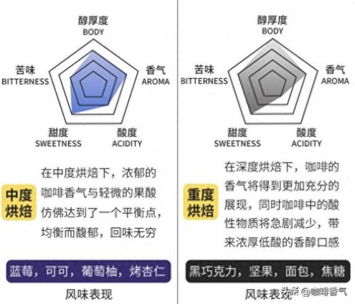 进口咖啡豆十大品牌排行榜(进口咖啡豆哪种最好)插图5