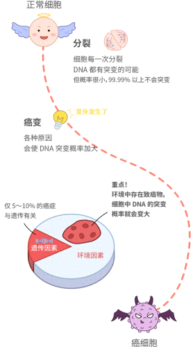 世界十大致癌物排行榜(世界十大致癌物排名)插图1