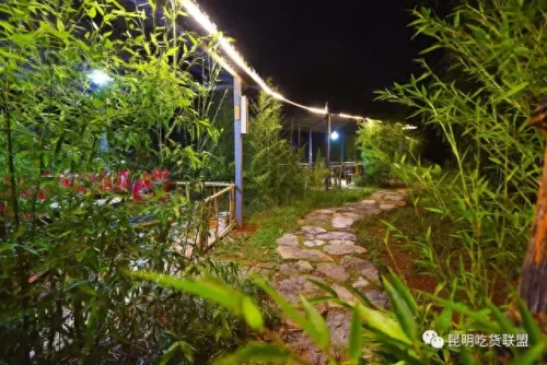 昆明兔肉餐馆排名前十(昆明哪里有兔肉卖)插图44