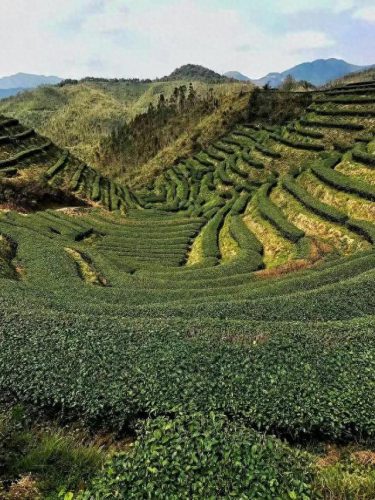 平和乡村景点排名前十(平和东坑附近景点)插图5