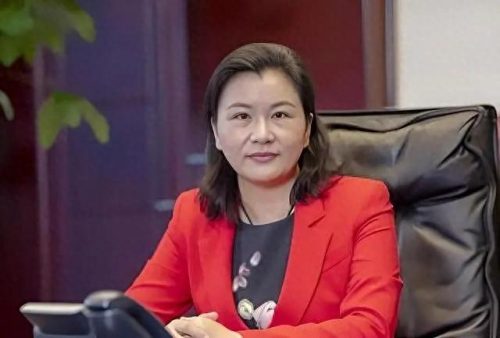 湖南总裁收入排名前十(湖南区域海螺总裁)插图7