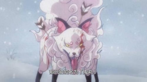海贼王十大强力动物排行榜(世界十大最强动物)插图6
