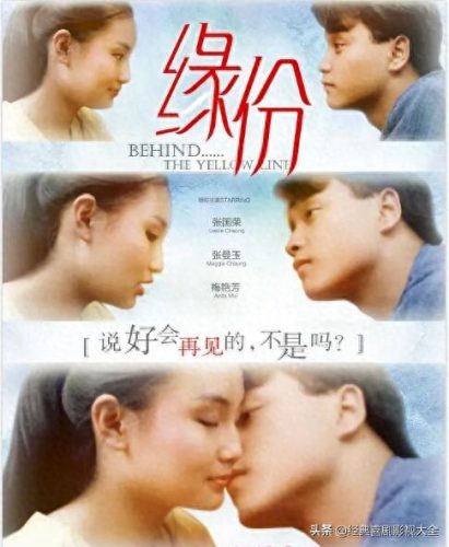 梅艳芳十大经典电影排行榜(杨紫琼张曼玉梅艳芳主演的电影)插图7