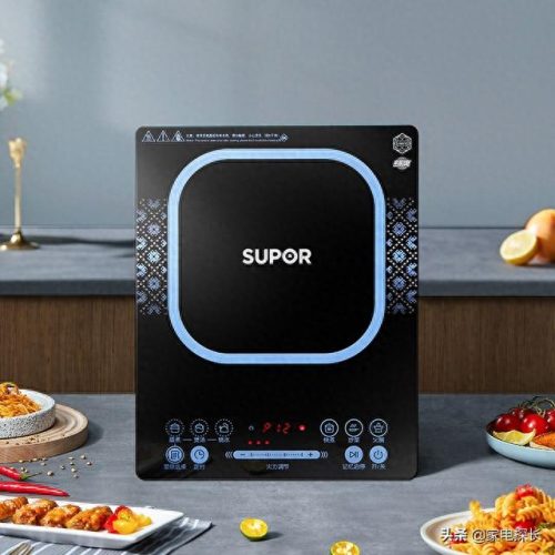 请问电磁炉十大品牌排行榜(电磁炉十大品牌排行)插图11