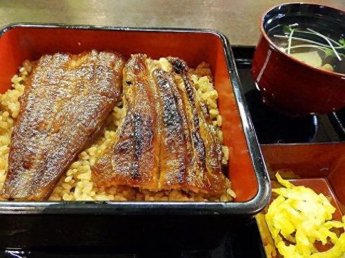 大阪鳗鱼排名前十(大阪鳗鱼店)插图84