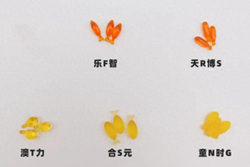 十大藻油孕妇dha排行榜最新(孕期补充藻油dha十大排行榜)插图7