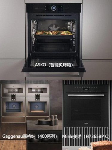 十大奢侈小家电品牌排行榜(品牌小家电进货渠道)插图6