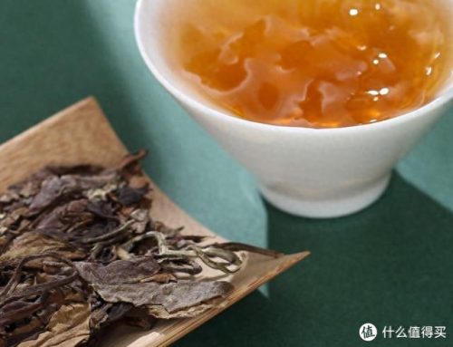 十大福鼎市白茶品牌排行榜(中国十大名茶)插图