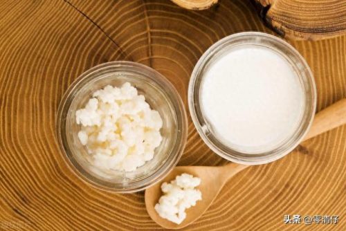益生菌酸奶粉十大排行榜(真正的益生菌酸奶配料表)插图7