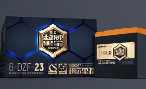 十大电瓶摩托车品牌排行榜(电瓶十大品牌排名大全)插图6
