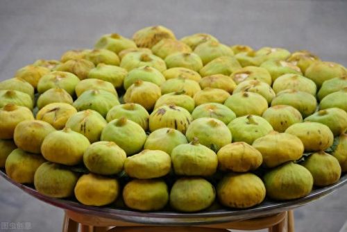 十大名牌无花果的排行榜(无花果是大凶的树吗)插图1