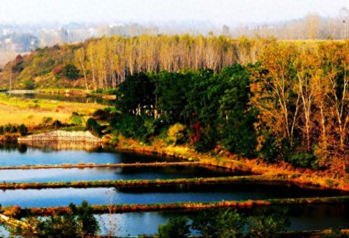 湖北钓鱼十大水库排行榜(湖北洪水哪里钓鱼最多)插图11