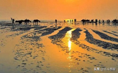 南通最大景点排名前十(南通2023十月免费旅游景点)插图48