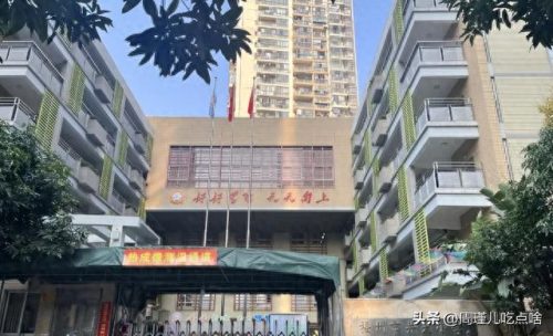 福建小学面积排名前十(福建私立小学十大排名)插图41