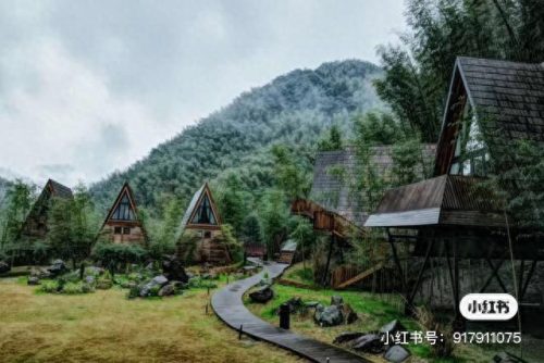 南京名宿院子排名前十(凤凰院子 名宿)插图1