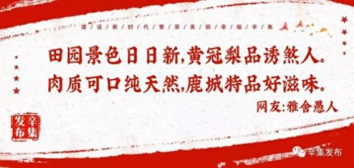 辛集本地酒厂排名前十(辛集金鹿酒厂有限公司)插图1