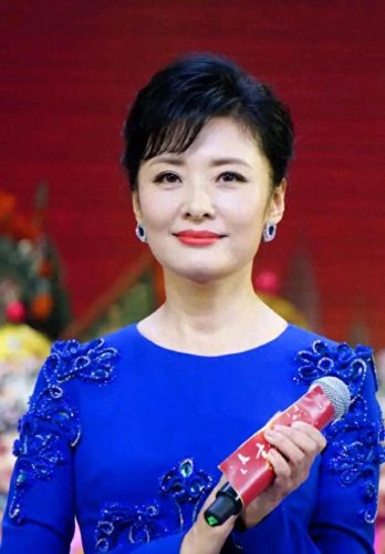 内地十大女主持人排行榜(国内公认十大女主持人)插图4