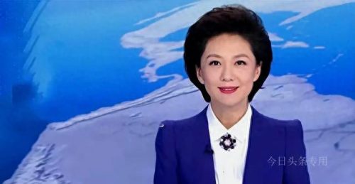 十大主持人身价排行榜最新(新闻联播女主持人排行榜)插图3