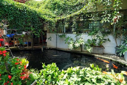 顺德当地餐厅排名前十(顺德最出名餐厅)插图11