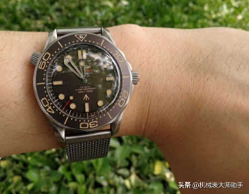 十大国产潜水表品牌排行榜(国产什么表最好)插图3