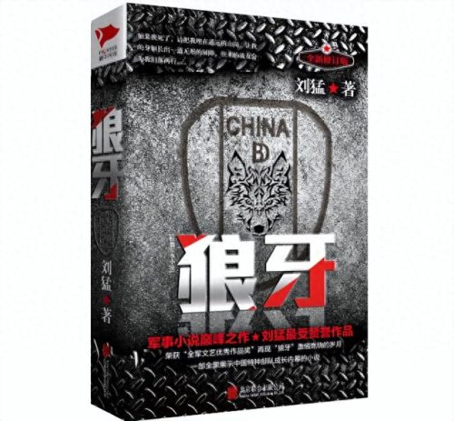 十大超级特种兵小说排行榜(十大巅峰特种兵小说)插图7