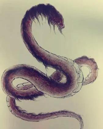 十大神话巨蛇排行榜最新(神话中最可怕的十大巨蛇)插图9