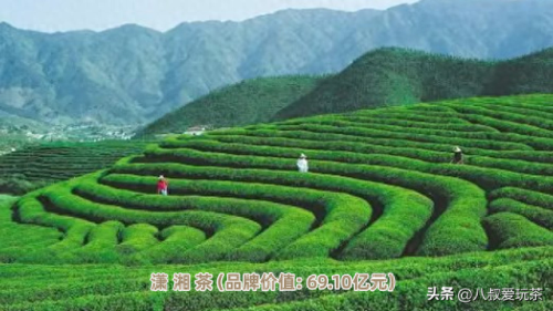 十大茶叶排行榜价格表最新(广元茶叶十大排名)插图7