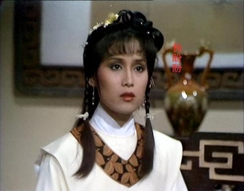 近期武打女星排名前十(港台十大武打女星)插图8