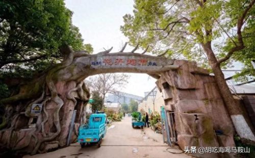 马鞍山十大花店排行榜最新(全国十大花店加盟)插图7