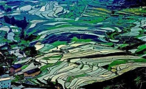 十大建设基地排行榜最新(中国十大无纺布生产基地)插图8