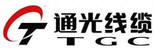光纤组网企业排名前十(光纤组网最佳方法)插图8