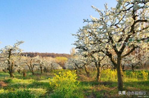 滨州休闲景点排名前十(滨州十大网红景点)插图19