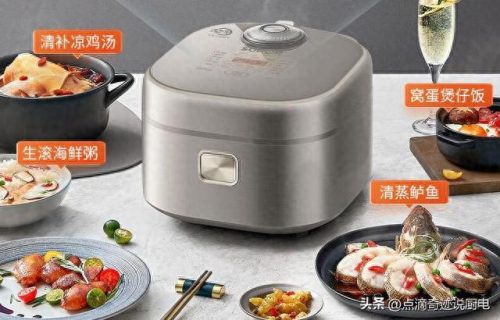国内电饭锅十大排行榜(目前口碑最好的电饭煲)插图2