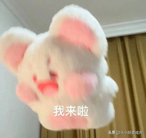 上海烧烤快餐排名前十(上海烧烤排名前十名)插图