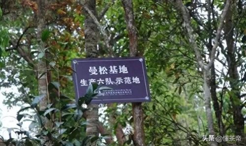 普洱生茶排名前十(普洱生茶十大排名)插图4