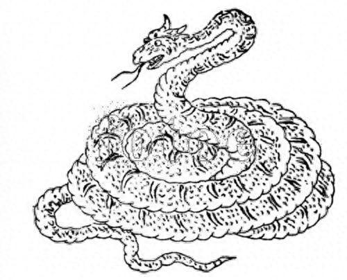 十大神话巨蛇排行榜最新(神话中最可怕的十大巨蛇)插图8