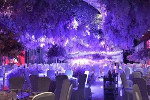 徐州婚庆酒楼排名前十(徐州婚宴厅排名)插图26